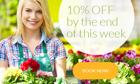  London customers gardening removal service offer book by the end of the week