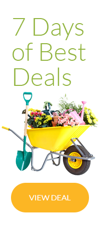 7 Days of Best Deals in London W6